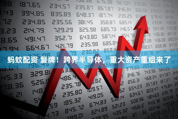 蚂蚊配资 复牌！跨界半导体，重大资产重组来了