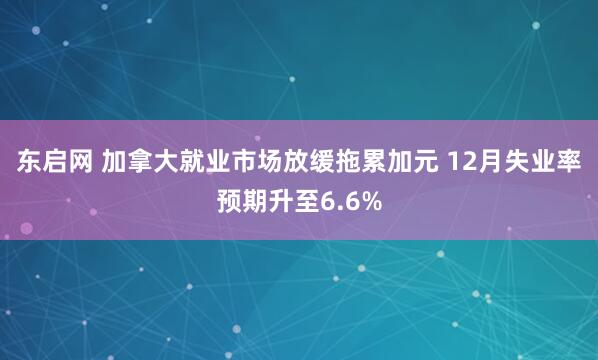 东启网 加拿大就业市场放缓拖累加元 12月失业率预期升至6.6%